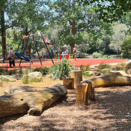 Child on a swing with a tree nearby